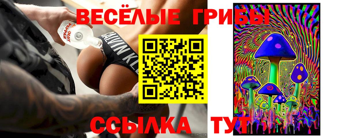 Волгоград  наркота  Вход с VPN  Галлюциногенные грибы Magic Shrooms 
