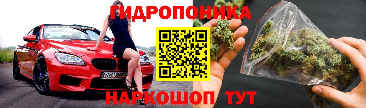 Каннабис White Widow  Бошки марихуана гибрид  Вход с VPN  Марихуана сатива  Волгоград 